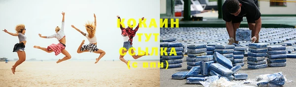 твердый Аркадак