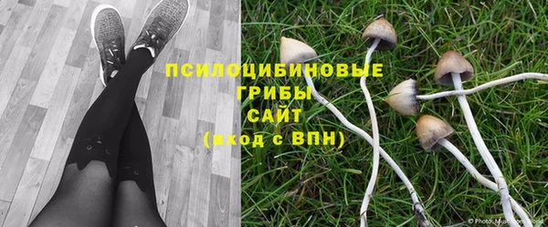 ALPHA PVP Армянск