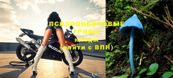 ALPHA PVP Армянск