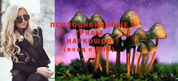 ALPHA PVP Армянск