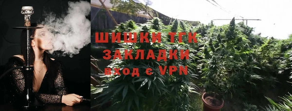твердый Аркадак