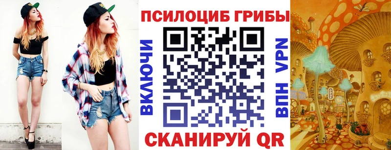Псилоцибиновые грибы ЛСД  Купить  Тихвин 