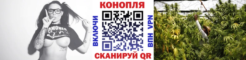Купить закладки  Тихвин  Бошки марихуана ГИДРОПОН 